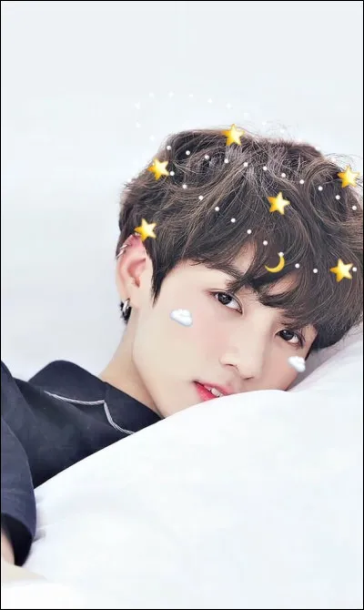 Quel est le nom de Jungkook ?