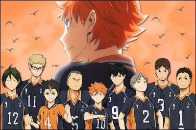 Quel genre d'animé préfères-tu ?