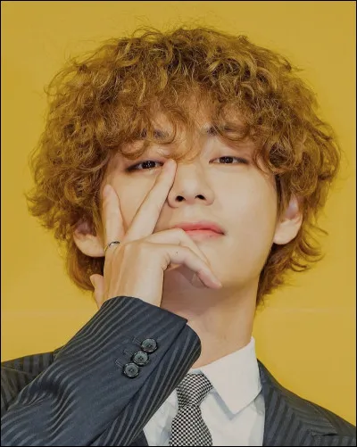 Pourquoi V a-t-il ce nom de scène ?