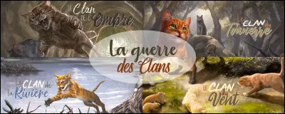 La mère de Chasseur de Fauve ne vit pas dans le Clan de la Rivière. Les qualités de ses membres sont : robustes et puissants. Elle est donc dans le Clan...