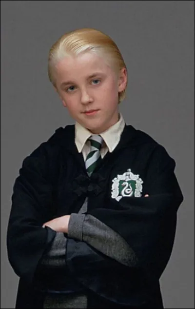 Lors de la discussion entre Drago Malefoy et Harry chez madame Guipure, dans quelle maison Drago ne voulait-il surtout pas aller ?