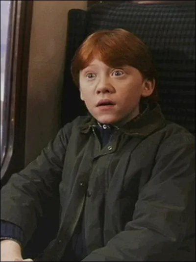 Lors de la discussion entre Harry et Ron dans le Poudlard Express, Ron &eacute;voque un moldu dans sa famille, apparemment un cousin de sa m&egrave;re dont ils ne parlent jamais. Quel m&eacute;tier ce cousin moldu exerce-t-il ?