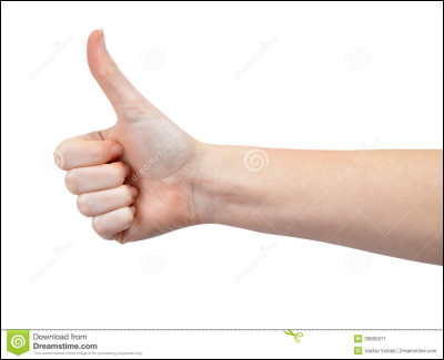 Quelle est ta plus grande qualité ?