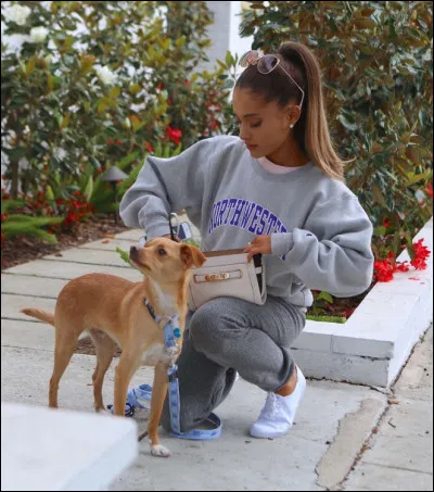 Comment s'appelle l'un de ses chiens qu'elle a amené lors de son "Sweetener World Tour" ?