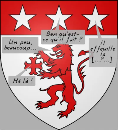 Avant de courir le guilledou, il faut d'abord... (complétez d'après le blason !)