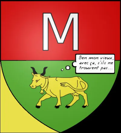 Là, c'est une réponse qui vous est apportée sur le blason...*
