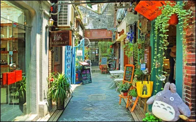 Ville : Comment est qualifié le quartier Tianzifang de Shanghai ?