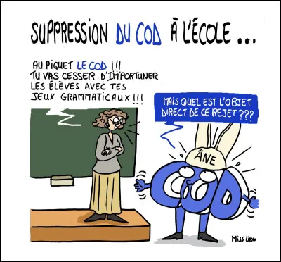 Quelle chose avez-vous le plus... ?