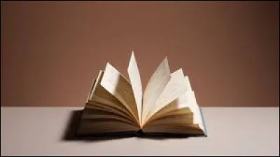 Cette après-midi, c'est un bon moment pour lire un livre. Que choisis-tu ?