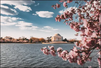 Histoire : En quelle année a été fondée la ville ?