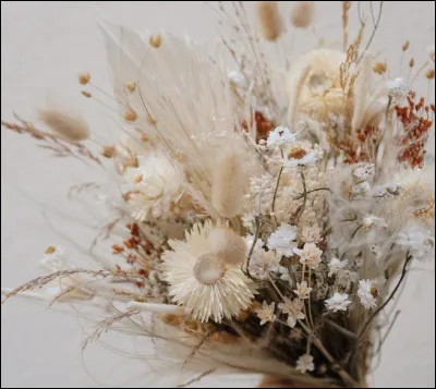 Pour finir, quelle est ta fleur préférée ?