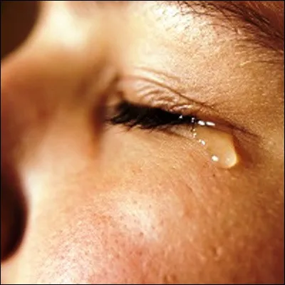 Quel chanteur interpr&egrave;te "Rien qu�une larme" ?