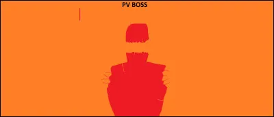 Autodestruction activée ! Parmi ces territoires d'outre-mer, lequel n'a pas de drapeau spécifique et utilise le drapeau tricolore ?