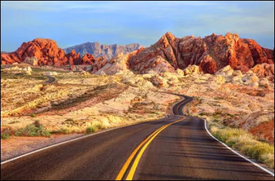 Géographie : Dans quel désert la ville est-elle située ?