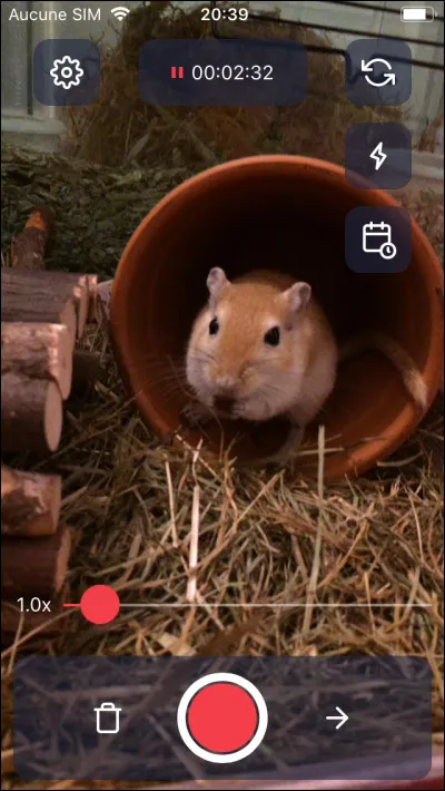 Combien de temps vit la gerbille ?