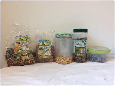 Quelle friandise la gerbille vénère-elle ?