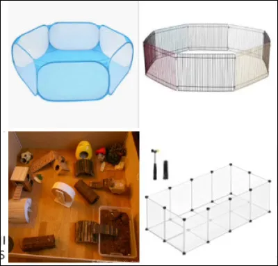 Quels sont les meilleurs parcs de sortie ?