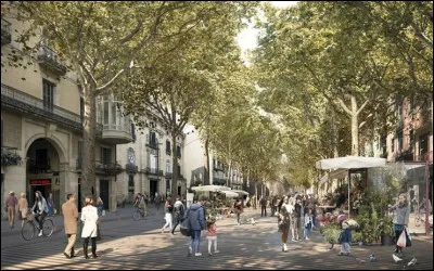 Ville : Comment appelle-t-on ce c&eacute;l&egrave;bre boulevard pi&eacute;ton ombrag&eacute; que l�on descend de la Pla&ccedil;a de Catalunya jusqu�&agrave; Port Vell ?