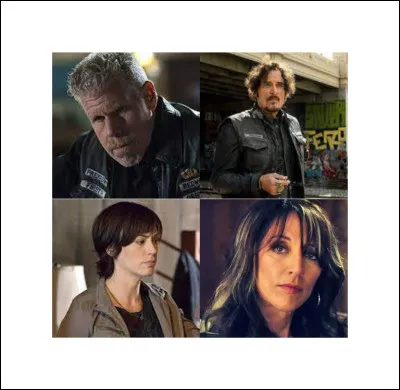Dans quelle série peut-on voir ces 4 personnages ?