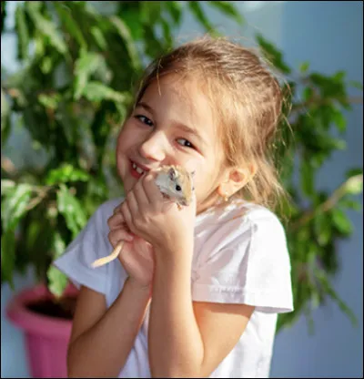 Quel serait le caractère idéal de ton petit compagnon ?