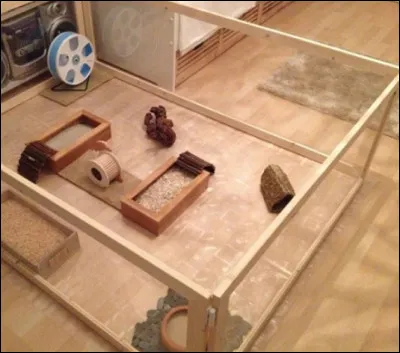 Combien de temps pourront à peu près durer les balades (dans le logement ou lenclos de jeu), chaque jour ?