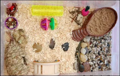 Combien de fois par semaine ou par mois seras-tu disponible pour vider et laver la cage de ta boule de poils ?