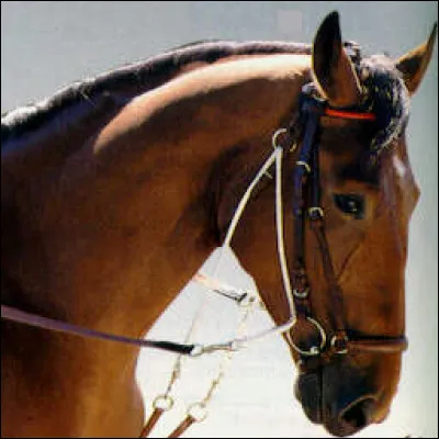 Quel est cet enrênement ?