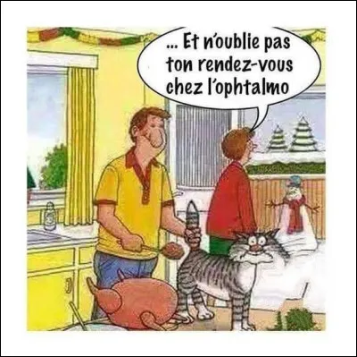 Les ophtalmologues en ont bien conscience...