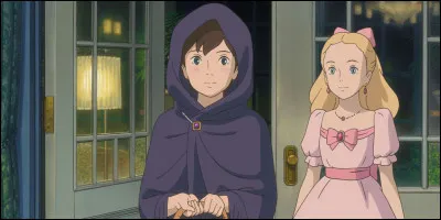 Aimes-tu faire la fête ?