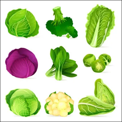 Quel est l'autre nom du chou-navet ?