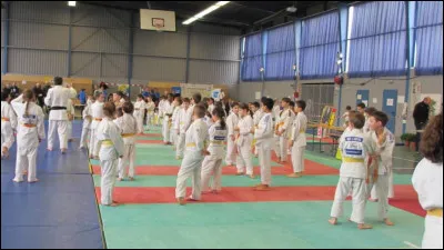 Combien le judo compte-t-il de pratiquants dans le monde ?