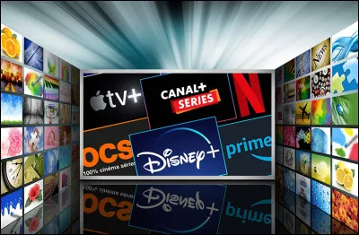 À la fin de l'année quelle chaîne de streaming comptabilise le plus d'abonnés ?