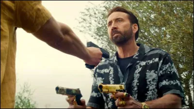 L'acteur principal du film ... s'auto-parodie et donne la réplique à Demi Moore.