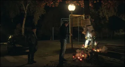 L'un de ces films traite du féminicide et a été un succès surprise au box-office français. Lequel est-ce ?