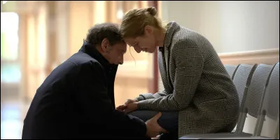 Dans ..., Philippe et Anne Lemesle sont joués par des acteurs qui ont été, autrefois, en couple dans la vrai vie.