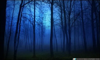 Qui était surnommée "La Fille aux yeux d'or" ?