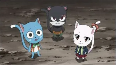 Comment se nomment les trois Exceeds ?