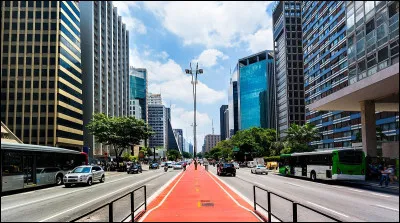 Ville : Quelle est cette célèbre avenue de São Paulo, comparée souvent aux Champs-Élysées ?