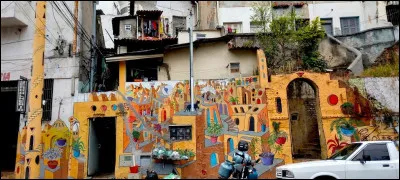 Transport : São Paulo possède la plus grande flotte ....... au monde. Complétez la phrase :