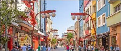 Ville : Le quartier Liberdade est le quartier ..... de la ville de São Paulo ?