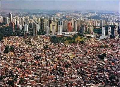 Culture : Quel festival de São Paulo est le plus grand au monde ?
