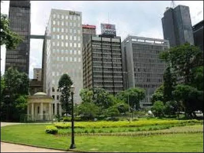 Culture : Comment les habitants de São Paulo surnomment-ils leur ville ?