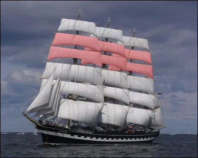 Quel animal était un domicelle ?