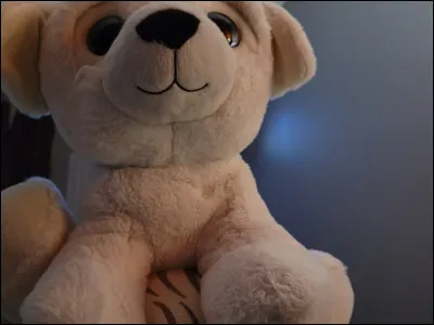 Que penses-tu de lui ?