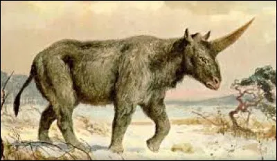 Les licornes existent :