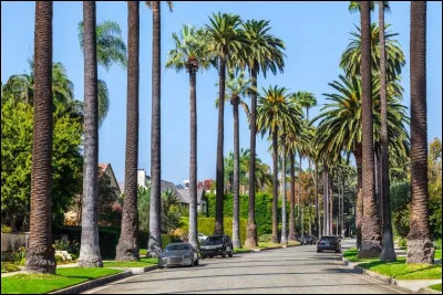 Quelle ville est surnommée "La cité des anges" ?