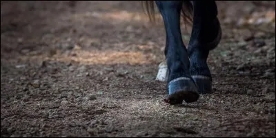 Quelle est la cause de sa mort ?
