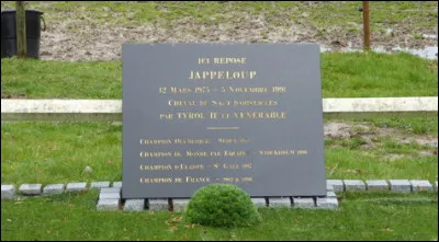 Vrai ou faux ? Son père était un trotteur, et sa mère était un pur-sang.