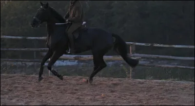 Vrai ou faux ? Jappeloup était un hongre.