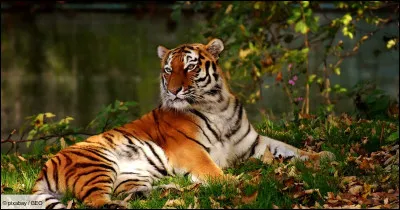 Faites le plein de souvenirs !